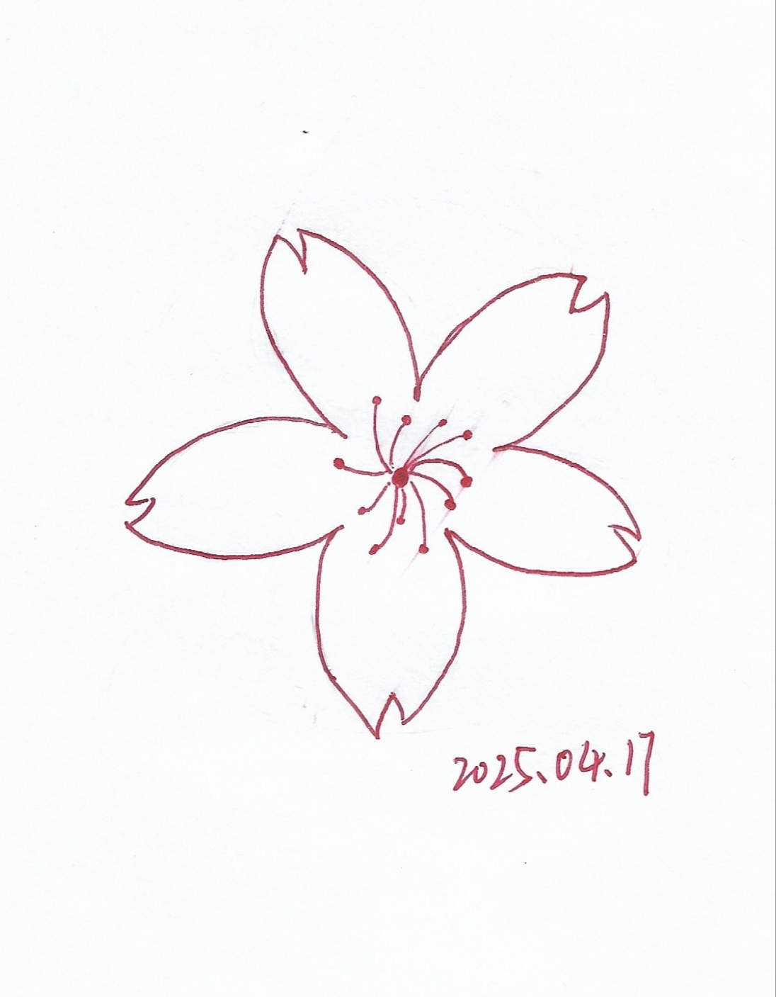樱花